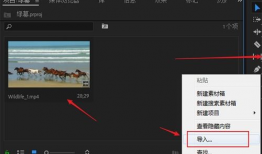 照片与视频,照片与视频中的视觉盛宴